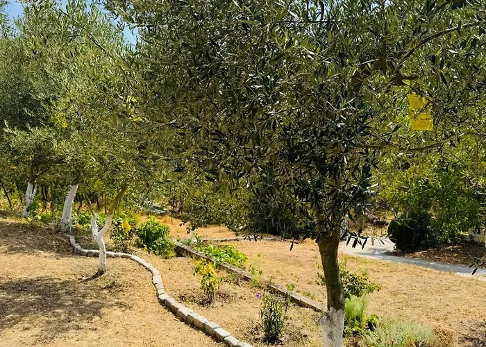 شقة Ktima Garidis *