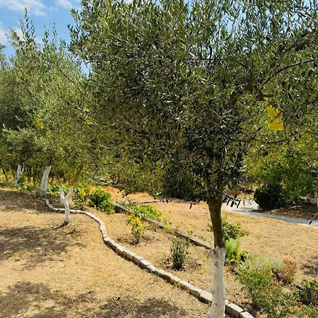 Apartmán Ktima Garidis *